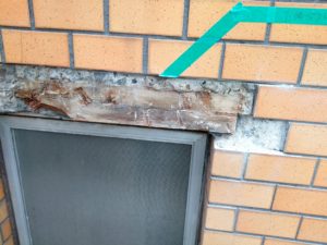 まさかの・・・ 本文画像